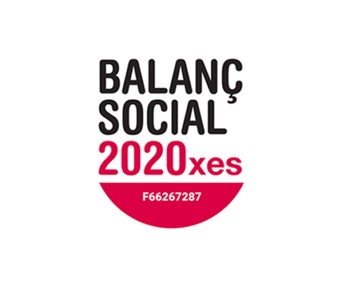 Imatge Balanç Social 2020