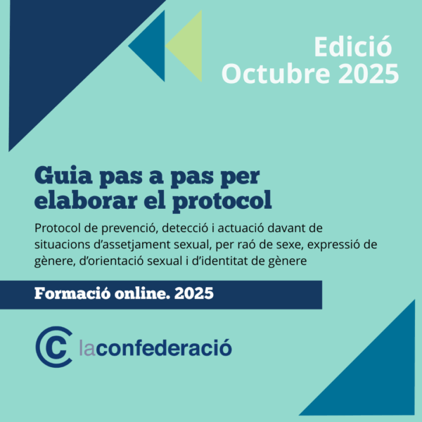 Guia pas a pas per elaborar el protocol. Edició Octubre 2025